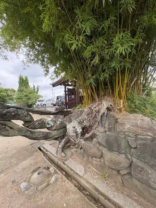 達磨寺の{uncategorized: "未分類", other: "その他", undefined: "問題あり", building: "その他建物", grave: "お墓", sacred_gate: "鳥居", guardian: "狛犬", statue: "像", buddha: "仏像", history: "歴史", nature: "自然", garden: "庭園", animal: "動物", pagoda: "塔", temizu: "手水舎", mountain_gate: "山門・神門", sanctuary: "本殿・本堂", subordinate: "末社・摂社", art: "芸術", scenery: "景色", jizo: "地蔵", ema: "絵馬", goshuin: "御朱印", omikuji: "おみくじ", items: "授与品その他", amulet: "お守り", goshuincho: "御朱印帳", eats: "食事", festival: "お祭り", votive_dance: "神楽", shichigosan: "七五三参", wedding: "結婚式", experience: "体験その他", initially: "初詣", around: "周辺", anti_infection: "感染症対策"}