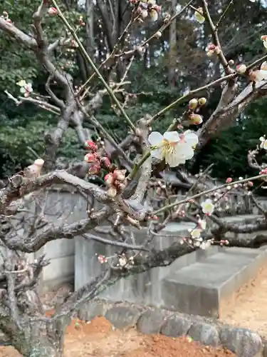 天満天神社の自然