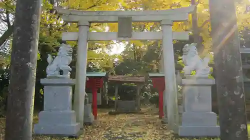 大国玉神社の鳥居