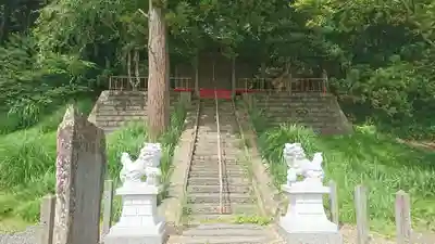 白山神社の狛犬