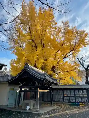 善福寺(東京都)