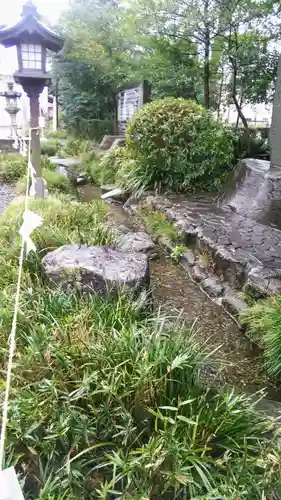 立川熊野神社の庭園