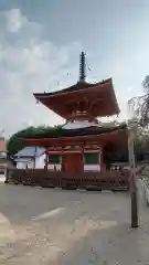 金剛寺の建物その他