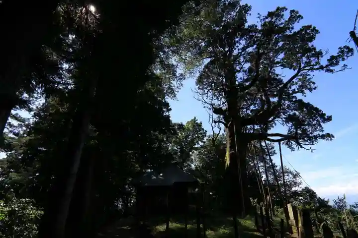 木幡山隠津島神社(二本松市)の自然