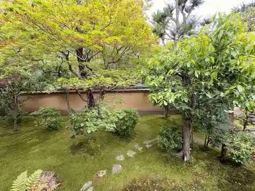 興臨院の{uncategorized: "未分類", other: "その他", undefined: "問題あり", building: "その他建物", grave: "お墓", sacred_gate: "鳥居", guardian: "狛犬", statue: "像", buddha: "仏像", history: "歴史", nature: "自然", garden: "庭園", animal: "動物", pagoda: "塔", temizu: "手水舎", mountain_gate: "山門・神門", sanctuary: "本殿・本堂", subordinate: "末社・摂社", art: "芸術", scenery: "景色", jizo: "地蔵", ema: "絵馬", goshuin: "御朱印", omikuji: "おみくじ", items: "授与品その他", amulet: "お守り", goshuincho: "御朱印帳", eats: "食事", festival: "お祭り", votive_dance: "神楽", shichigosan: "七五三参", wedding: "結婚式", experience: "体験その他", initially: "初詣", around: "周辺", anti_infection: "感染症対策"}