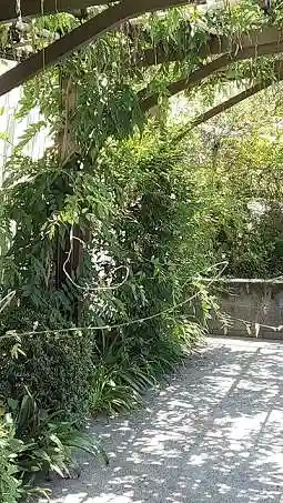 西方山極楽寺の自然