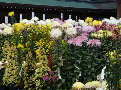 彌彦神社のその他建物