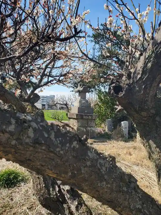 搭ノ木稲荷神社(栃木県)