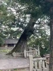 圓山神社(愛媛県)