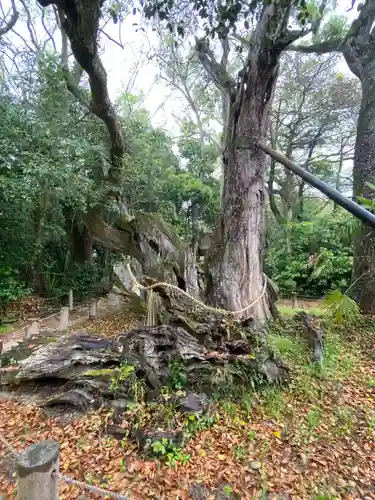 大山祇神社(愛媛県)