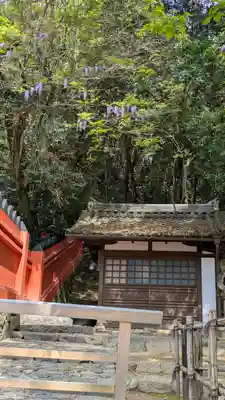 春日大社 若宮（春日若宮）(奈良県)