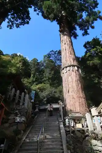鞍馬寺の自然