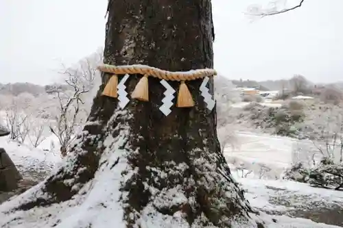 阿久津「田村神社」（郡山市阿久津町）旧社名：伊豆箱根三嶋三社の自然