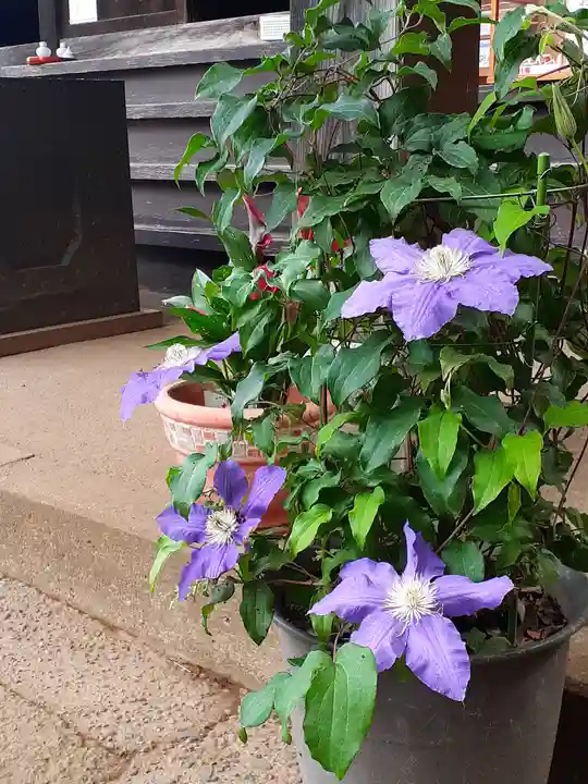 伏木香取神社(茨城県)