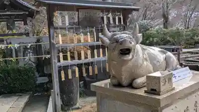 三室戸寺(京都府)
