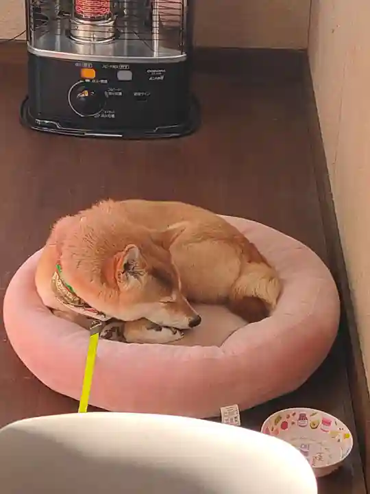 高山神社(群馬県)