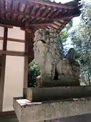 櫛玉比賣命神社(愛媛県)