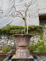 松尾寺のその他建物