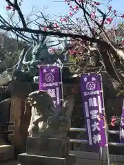 江島神社の狛犬