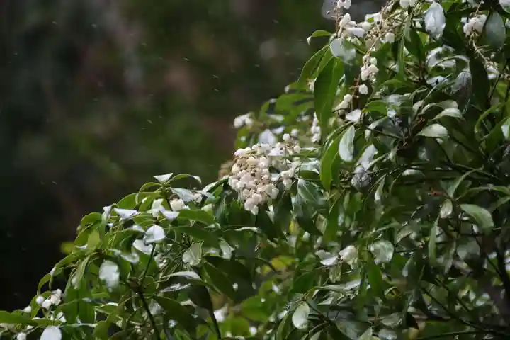 大六天麻王神社の庭園