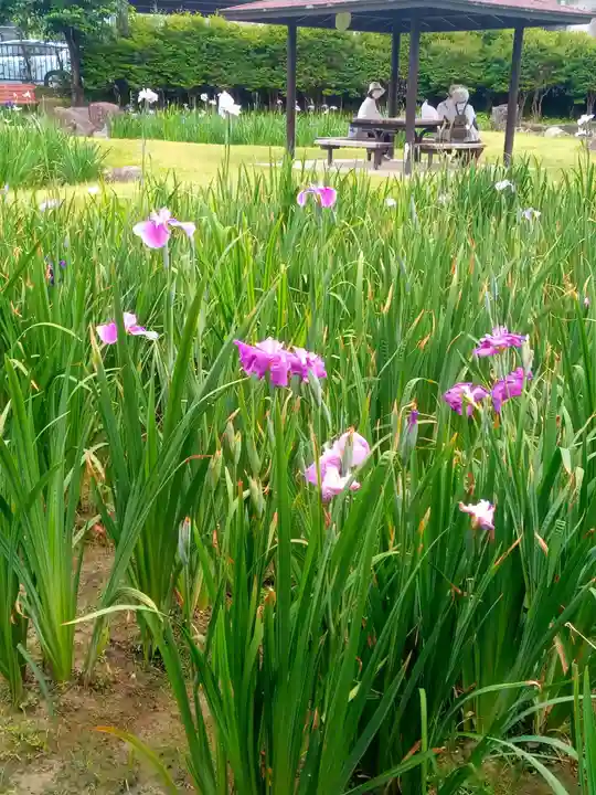 知立神社の自然