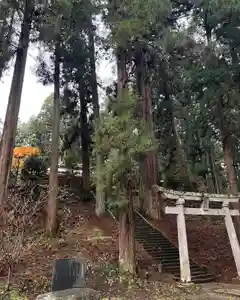 大宮温泉神社の鳥居(2021年12月10日(金) 23時55分49秒投稿)