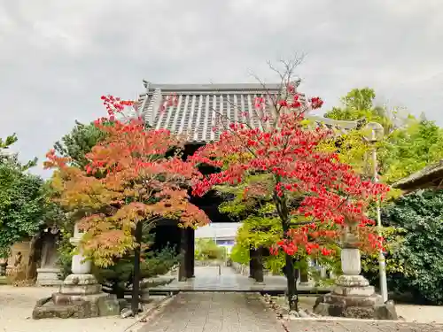 曹源寺の山門・神門