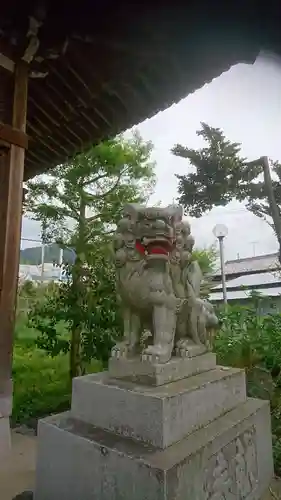 尾津神社の狛犬