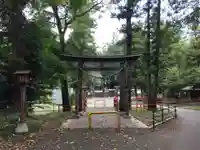 安房神社の鳥居