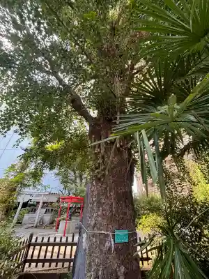 成子天神社の{uncategorized: "未分類", other: "その他", undefined: "問題あり", building: "その他建物", grave: "お墓", sacred_gate: "鳥居", guardian: "狛犬", statue: "像", buddha: "仏像", history: "歴史", nature: "自然", garden: "庭園", animal: "動物", pagoda: "塔", temizu: "手水舎", mountain_gate: "山門・神門", sanctuary: "本殿・本堂", subordinate: "末社・摂社", art: "芸術", scenery: "景色", jizo: "地蔵", ema: "絵馬", goshuin: "御朱印", omikuji: "おみくじ", items: "授与品その他", amulet: "お守り", goshuincho: "御朱印帳", eats: "食事", festival: "お祭り", votive_dance: "神楽", shichigosan: "七五三参", wedding: "結婚式", experience: "体験その他", initially: "初詣", around: "周辺", anti_infection: "感染症対策"}