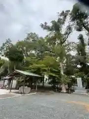 綿都美神社(福岡県)