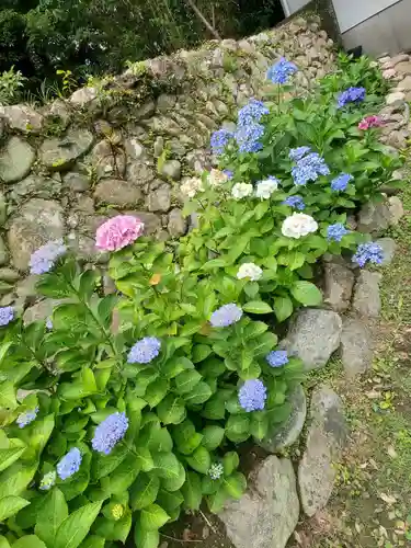 草薙神社の自然