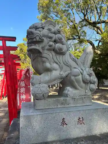 於菊稲荷神社の狛犬