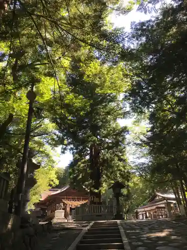 諏訪大社下社秋宮のその他建物