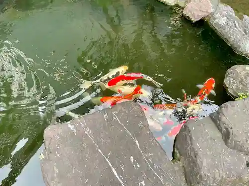 甚行寺(神奈川県)