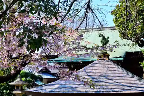 五條天神社の自然