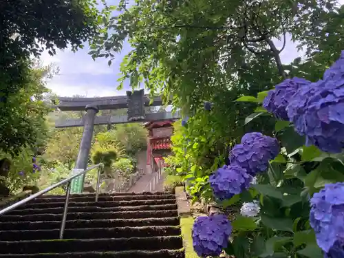 太平山神社(栃木県)