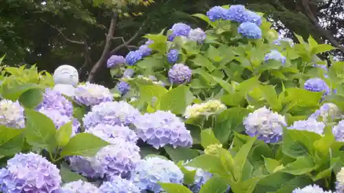 柳谷観音　楊谷寺(京都府)