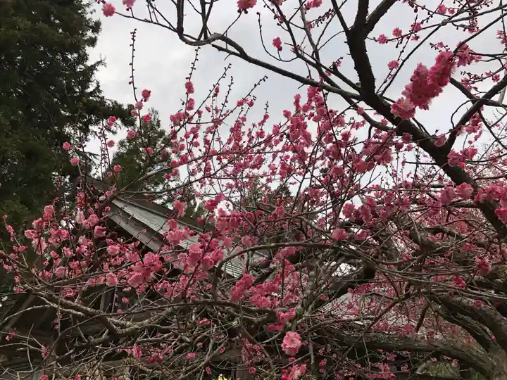 涌谷神社(宮城県)
