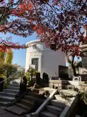 養玉院如来寺(東京都)