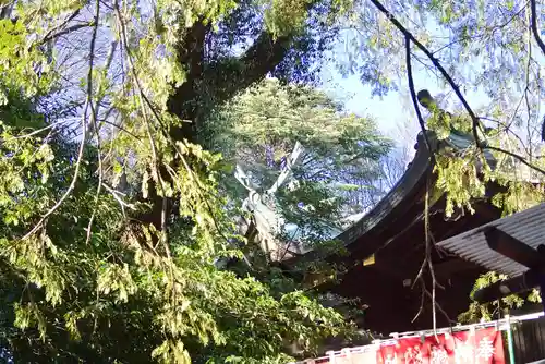 大宮八幡宮(東京都)