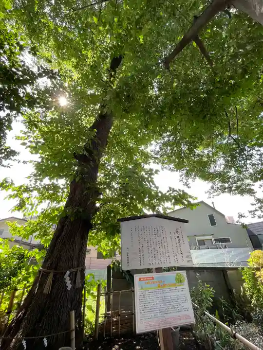 戸越八幡神社(東京都)