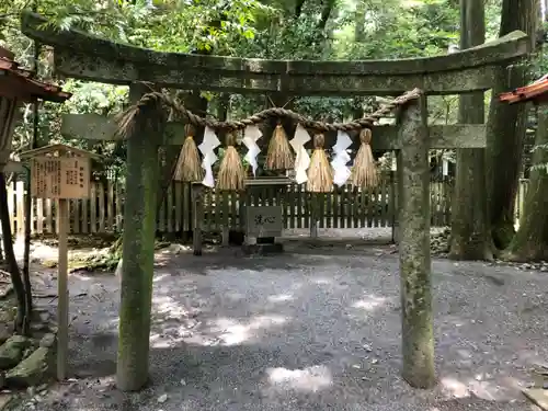 椿大神社の鳥居