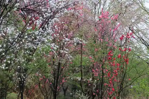 阿久津「田村神社」（郡山市阿久津町）旧社名：伊豆箱根三嶋三社の庭園