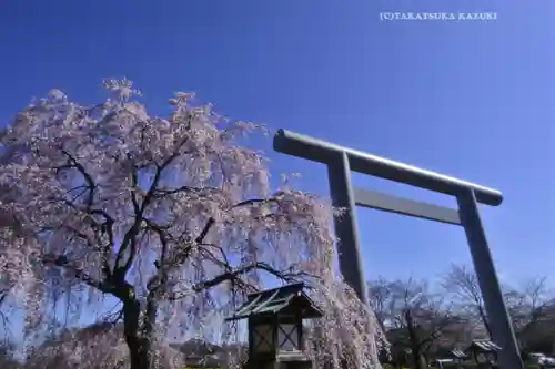 櫻木神社(千葉県)