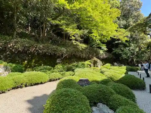知恩院の{uncategorized: "未分類", other: "その他", undefined: "問題あり", building: "その他建物", grave: "お墓", sacred_gate: "鳥居", guardian: "狛犬", statue: "像", buddha: "仏像", history: "歴史", nature: "自然", garden: "庭園", animal: "動物", pagoda: "塔", temizu: "手水舎", mountain_gate: "山門・神門", sanctuary: "本殿・本堂", subordinate: "末社・摂社", art: "芸術", scenery: "景色", jizo: "地蔵", ema: "絵馬", goshuin: "御朱印", omikuji: "おみくじ", items: "授与品その他", amulet: "お守り", goshuincho: "御朱印帳", eats: "食事", festival: "お祭り", votive_dance: "神楽", shichigosan: "七五三参", wedding: "結婚式", experience: "体験その他", initially: "初詣", around: "周辺", anti_infection: "感染症対策"}