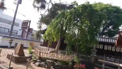 縣神社のその他建物