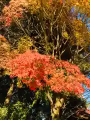 白鷺神社(栃木県)