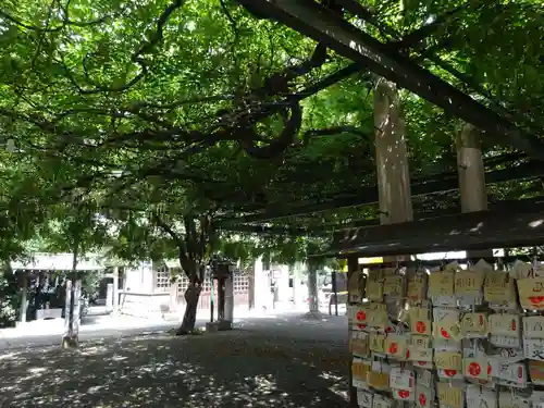 國領神社の自然