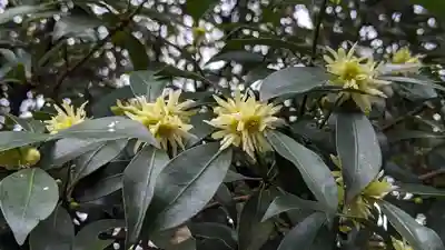 大報恩寺（千本釈迦堂）(京都府)
